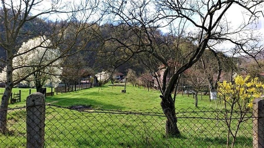 Casa si 3919 mp teren intravilan  in  Bucuresci, jud. Hunedoara - 6