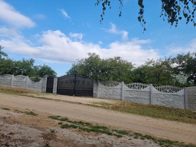 Anunt de Vanzare Teren in Viile Satu Mare Titlu: Teren Ideal pentru Constructie Strada Libertatii nr. 4 - 1