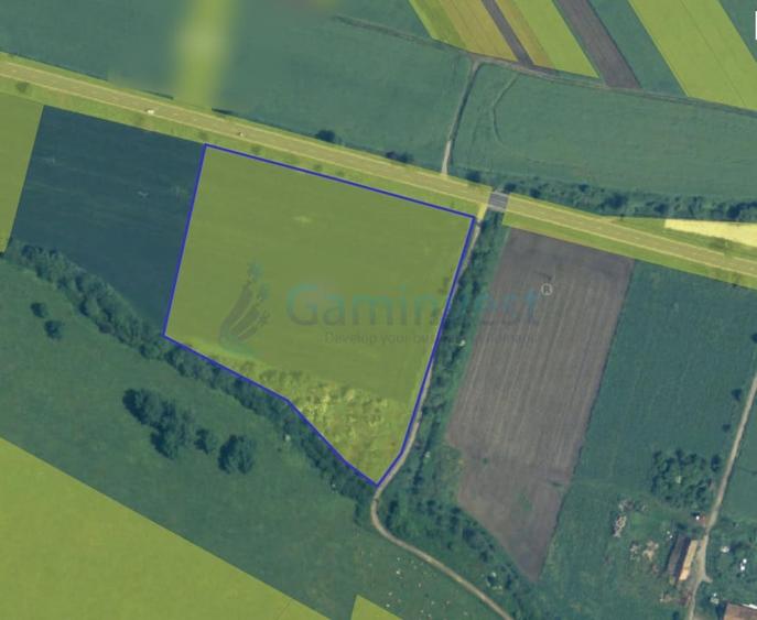 Teren intravilan 2 ha de vanzare in Pecica la DN7, judetul Arad, Romania - 1