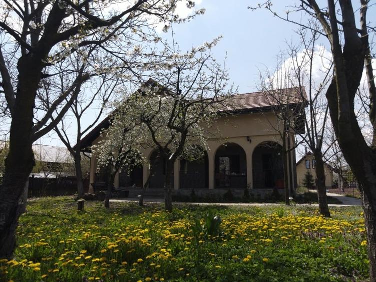 Vanzare vila noua & casa de la 1893 restaurata+ curte de 2.000 mp - 3