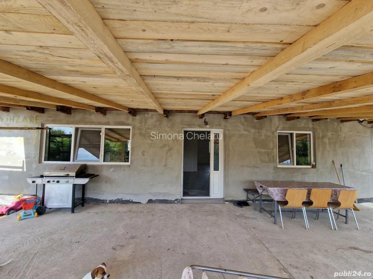 Casa de vanzare la tara