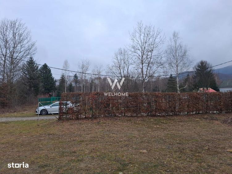 Teren deosebit pozitionat, cu livada, langa padure, pe Valea Avrigulu - 8