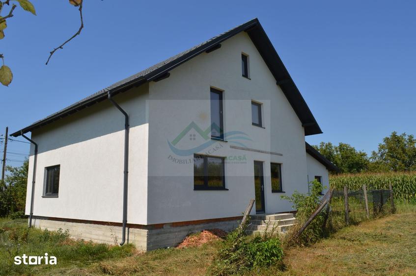 Casă cu 5 camere cu Teren 9700 Mp în Vama