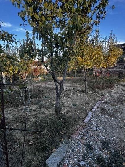 BRASADAS vinde casa in zona 14 Mai. - 3