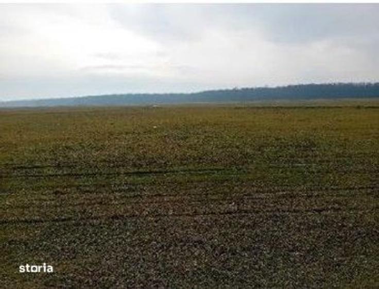 Teren extravilan 635 mp Harsesti, ID: R2922302 - 4