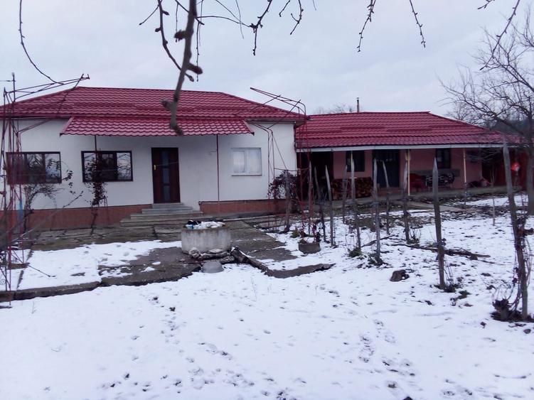 Casa de vanzare la tara - 15