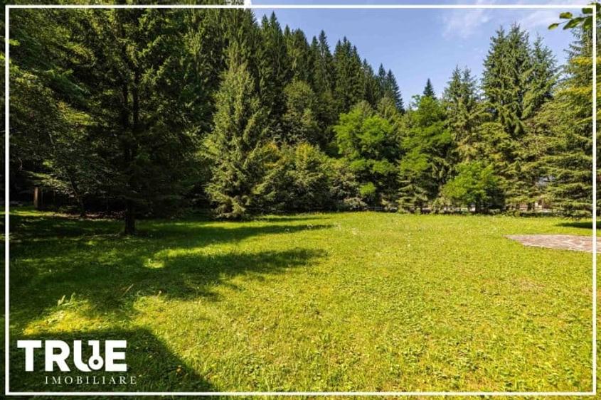 Cabană 160m? utili, teren 2253m?, Salard, Mureș! - 7