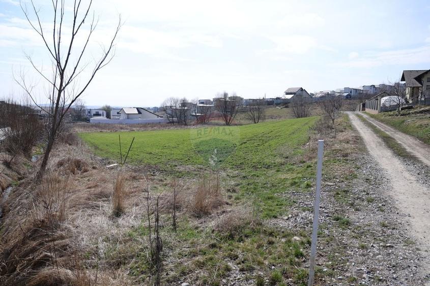 Teren 3,500mp Moara / Strada Pprincipala - 16