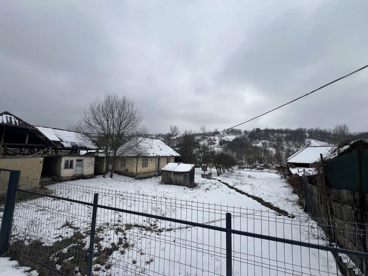 Casa batraneasca - curte si gradina 1924 mp + 2100 livada - 2