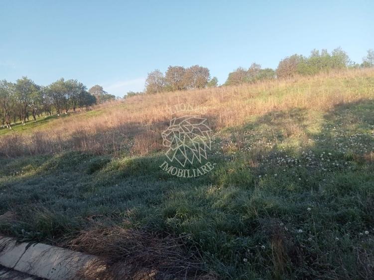Teren intravilan 100 ari  front 80 ml utilități drum asfaltat Ghirolt Gherla - 2