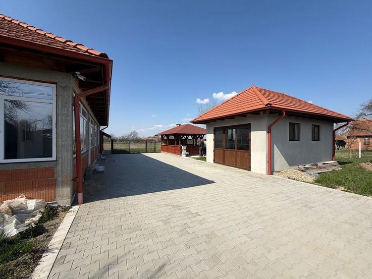 Casa Spatioasa cu Teren Generos Sudrias, Com. Traian Vuia - 8