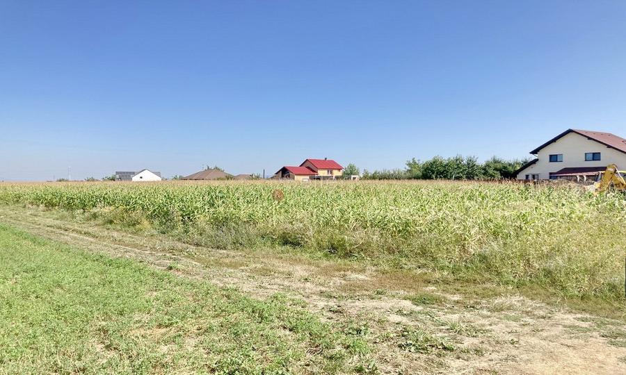 Teren Pretabil Investitie - 3