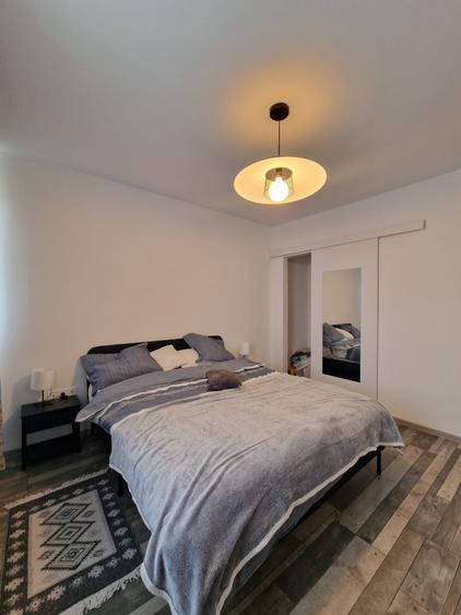 Sos. Viilor - Parc Carol - Apartament 2 camere - renovat - mobilat utilat modern - 5