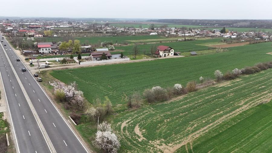 0% | Teren intravilan, 4563 mp, front 25 m, utilitati | Potigrafu PH - 5