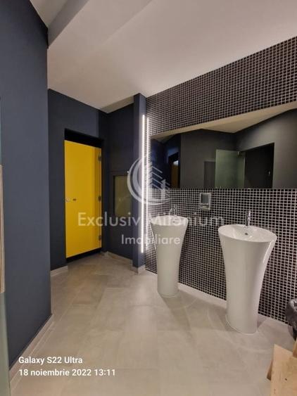 Spatiu Birouri Baneasa -  Aviatiei - 6