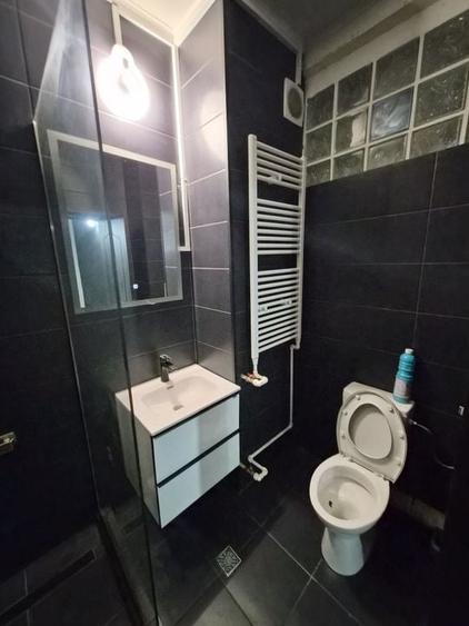 De vânzare Vilă individuala 11 camere curte proprie Parcul Carol - 12