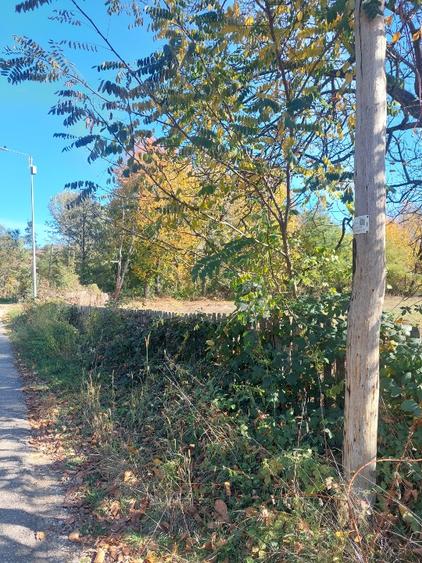 Vând teren 4200mp, int și ext în Romani  de jos - 2