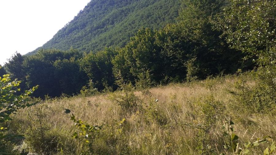 Roscani-Dobra-Teren Cabana-10km A1-Posibilitate Rate - 1