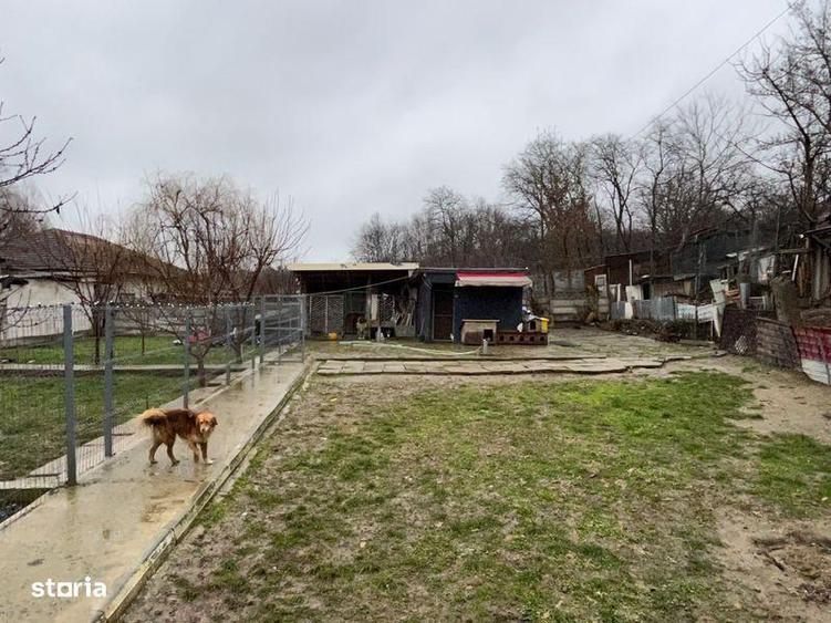 Teren intravilan 1000mp - 6