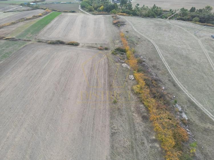 Teren arabil Intravilan 11600mp | LmP | Remetea Mare | COM 0% - 4