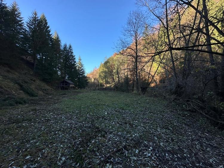 Teren 2.882 mp – oportunitate investitie - Cheile Dambovicioarei - 4