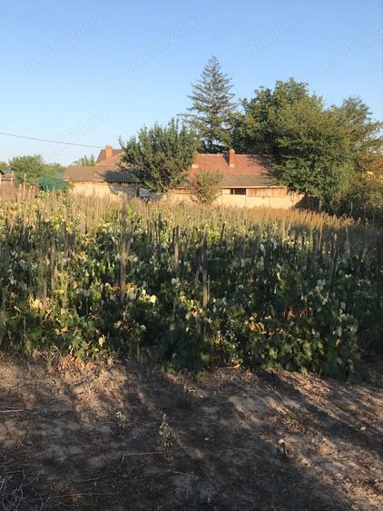 Vand casa + teren - 4