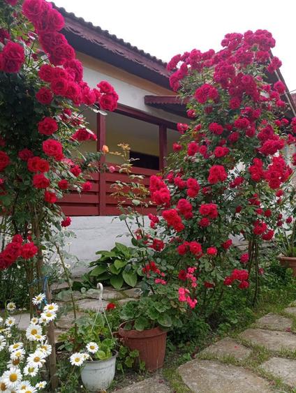 Casa si teren Breasta - 3