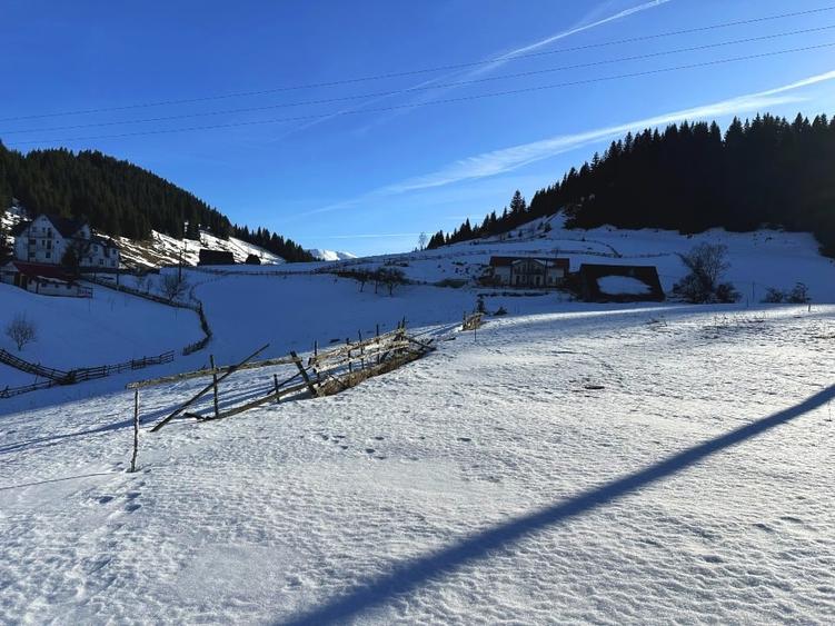 Teren intravilan 8400 mp, Fundata, zona Bran -  Moieciu - 5