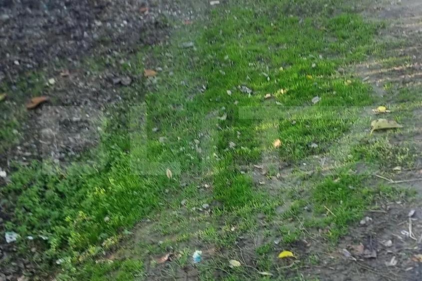 Pachet complet: casa + 800 mp Cocorastii Colt - 9