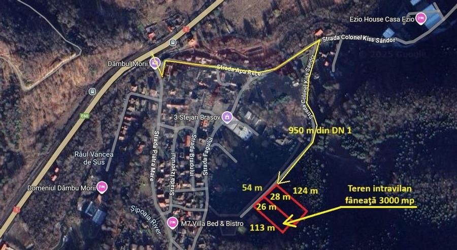 Teren intravilan, 3000 mp, Dambu Morii - 14