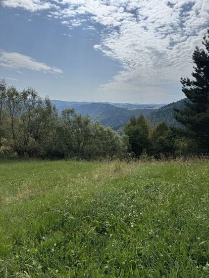 Teren de vanzare Rasca - 2