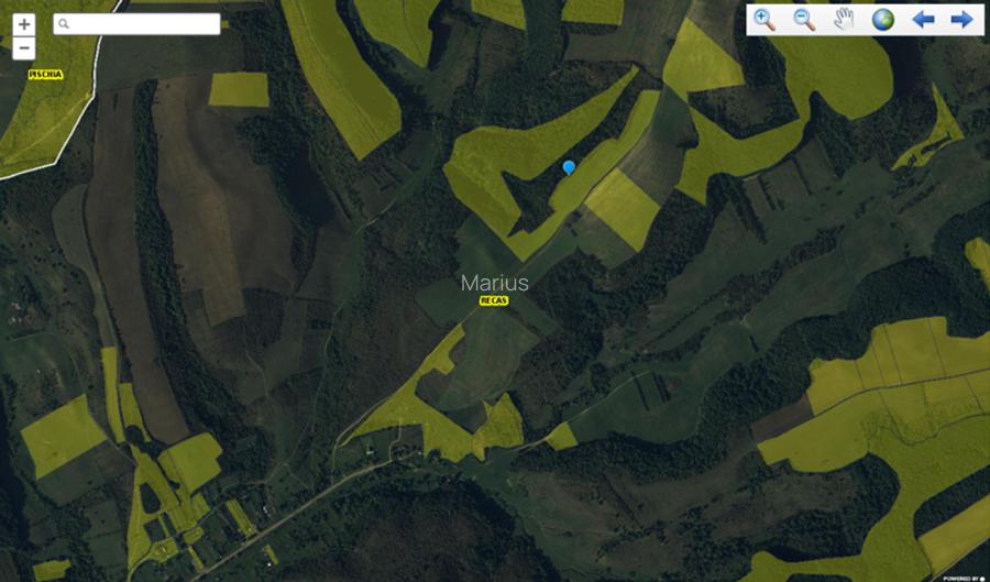 Proprietar vand teren agricol langa Nadas - Herneacova