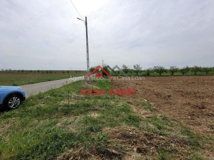 Teren extravilan in Banesti, 2400mp, 10e Teren extravilan in Banesti, 2400mp, 10e