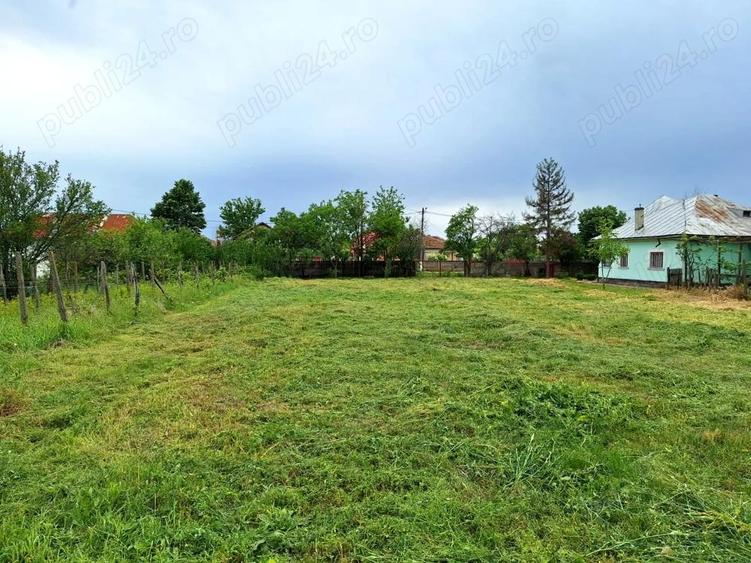 Vand teren intravilan 1796 mp, deschidere 30 m, utilita?i complete - in ora?ul Piatra-Olt, jud Olt - 1