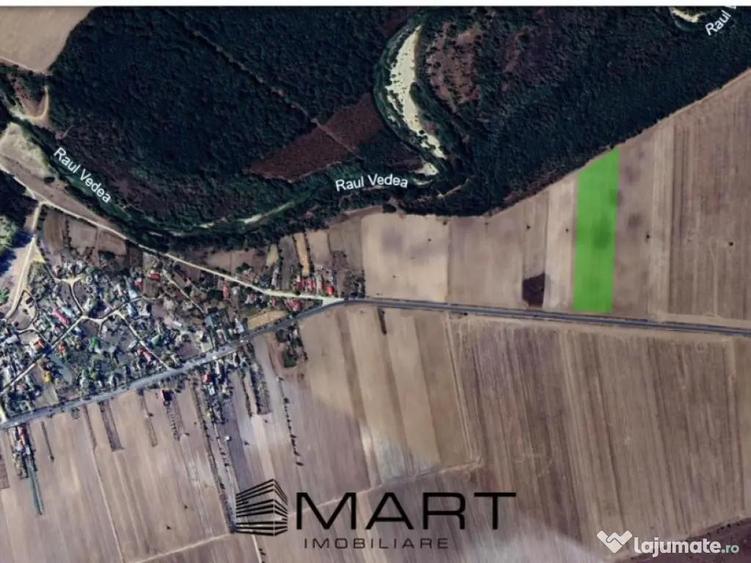 Teren arabil sat Cucueti - 3
