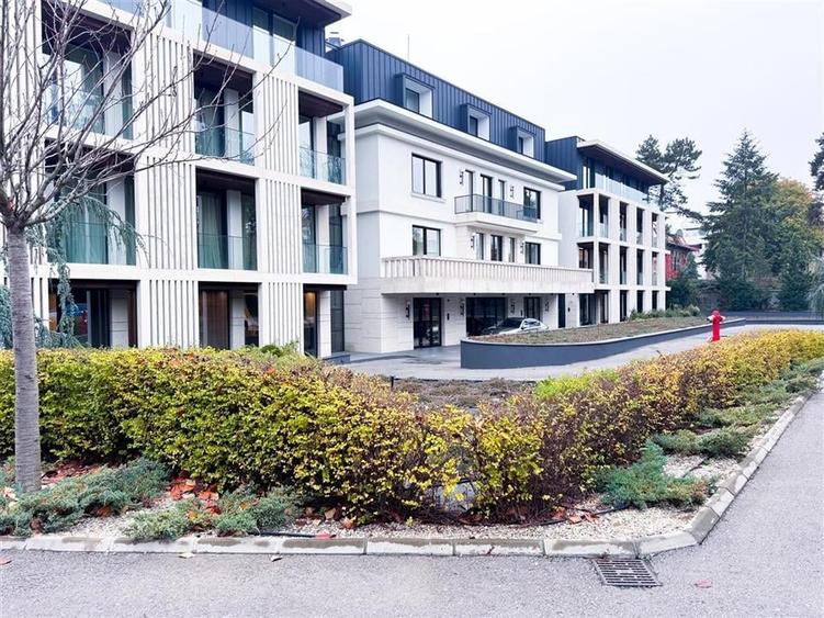 Apartament de inchiriat 4 camere Kiseleff - 32