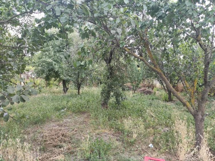 Vanzare casa - magazin - Licuriciu, Calinesti - Teleorman - teren 1400mp - 6