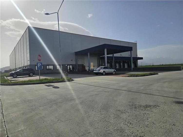 Spatii Industriale - 10000 mp - Logistica - Depozitare - Productie - 6