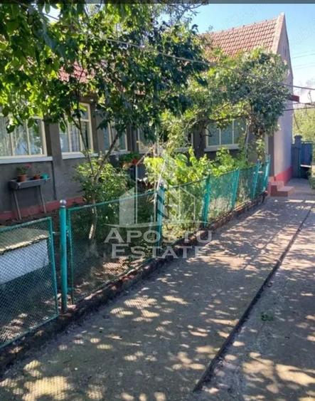 DE VANZARE casa solida LA 30 km de Timisoara - 1