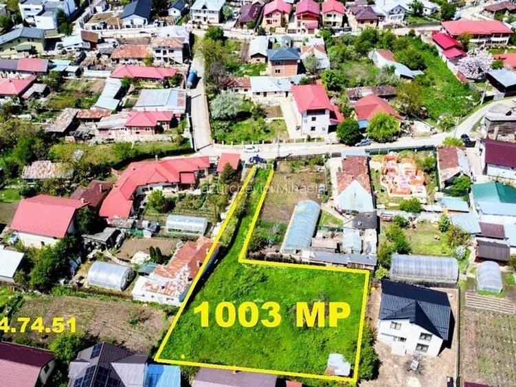 Teren construibil la intrare in comuna Berceni Teren construibil la intrare in comuna Berceni