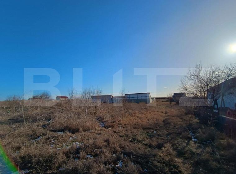 Teren intravilan 2500mp, Malu Mare! - 1