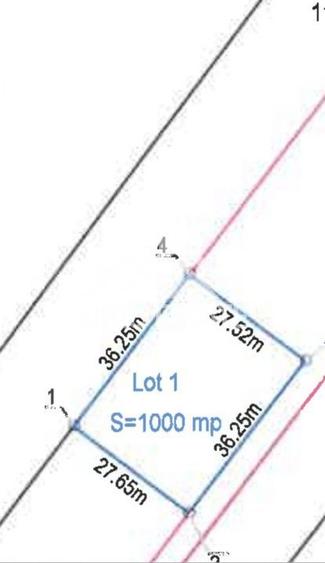 Oferta Limitata! Teren 4000mp V Avrigului 18e/mp - 9