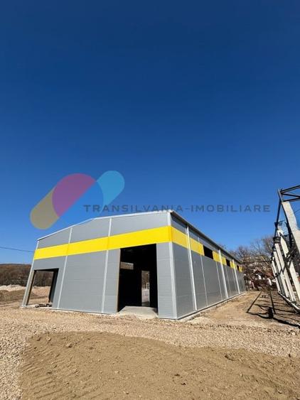 Hale de vanzare – 600 mp, open space, acces TIR, zona intrare Baciu - 1