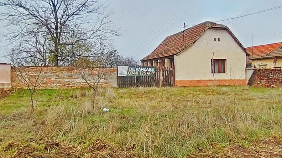 Casa cu poten?ial, teren generos de 1.440 mp Secusigiu, Arad - 10
