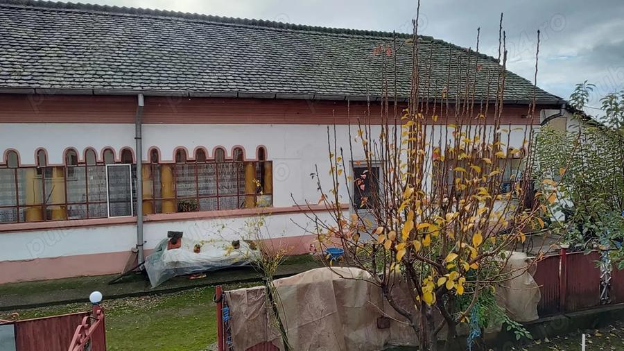 Vand casa locuibila alcatuita din 2 corpuri si cu teren de 1500 mp in sat Basarabi, jud Dolj - 5