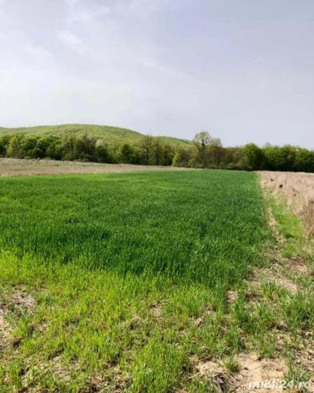 3700 mp Budesti-Piscul Pietrei - 4