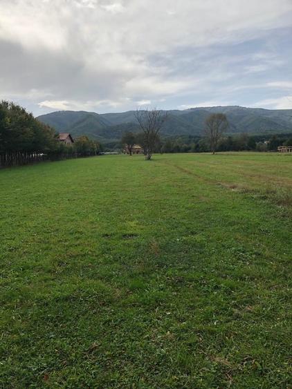 Teren intravilan Tocile Sadu jud. Sibiu Priveliste superba - 3