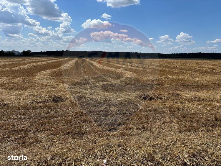 Pret imbatabil - Izvorani (1858 mp) ideal investitie, aproape de DN1 - 5