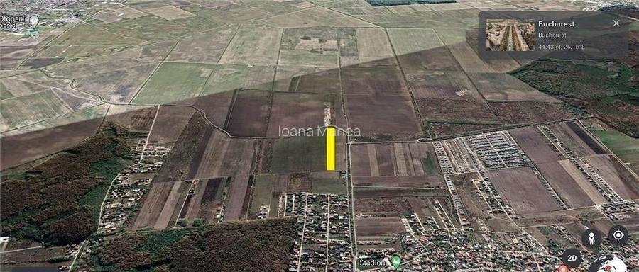 Vanzare teren intravilan curti constructii,  loturi case, Corbeanca , Tamasi, ur