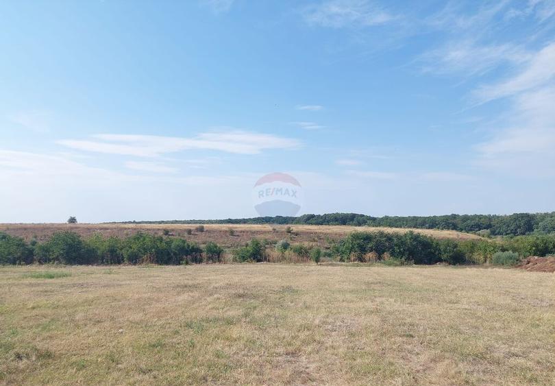 Teren de vanzare cu deschidere la lac 2136 mp | Gra... - 1